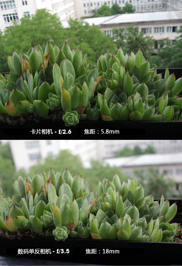 在360度全景攝影里，影響景深的因素