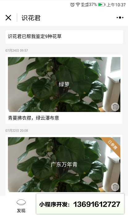 識(shí)花君小程序截圖