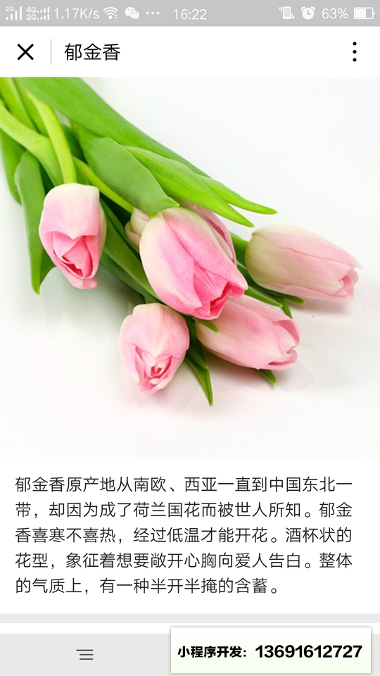 花加FlowerPlus小程序截圖